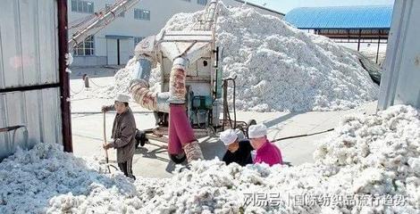 新疆棉花丰产已成定局,多部门发布警示:加工企业需理性收购