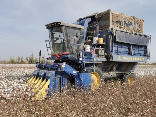 无人播种,自动采棉,覆膜回收 常州智造"全流程"助力新疆棉花丰产增收